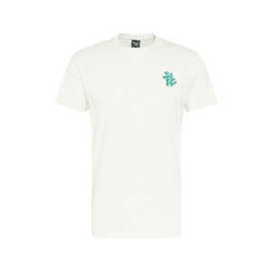 Iriedaily T-Shirt 'Consciousness' šedobiela / zelená vyobraziť