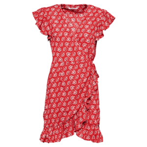 Freebird Letné šaty 'Rosy' červená / ružová / biela / čierna vyobraziť