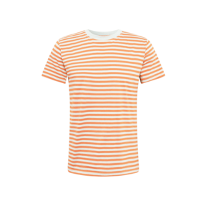 DEDICATED. Tričko 'Stockholm Stripes' oranžová / biela vyobraziť