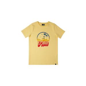 O'NEILL Tričko 'Gradient Vintage' žltá / modrá / zlatá žltá / červená vyobraziť