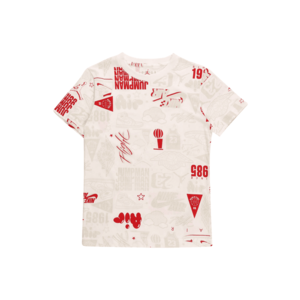 Jordan Funkčné tričko biela / sivá / červená vyobraziť
