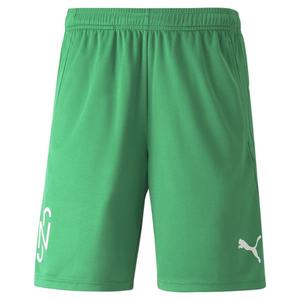 PUMA Športové nohavice 'Neymar' biela / zelená vyobraziť