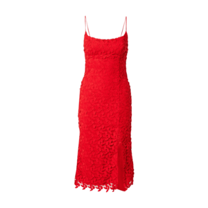 Bardot Šaty 'Ariel' červená vyobraziť