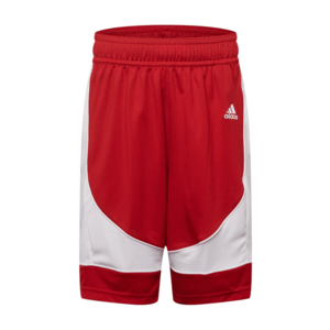 ADIDAS PERFORMANCE Športové nohavice ohnivo červená / biela vyobraziť