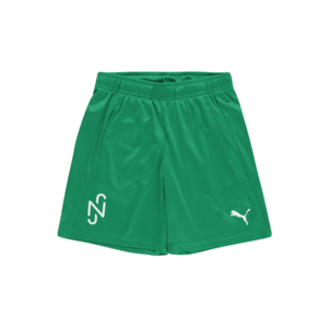 PUMA Športové nohavice 'Neymar Jr' zelená / biela vyobraziť