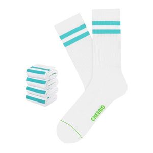 CHEERIO* Ponožky 'TENNIS TYPE 4P' modrá / biela vyobraziť