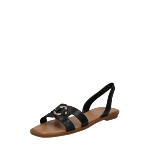 ALDO Remienkové sandále 'FANDRA' čierna vyobraziť