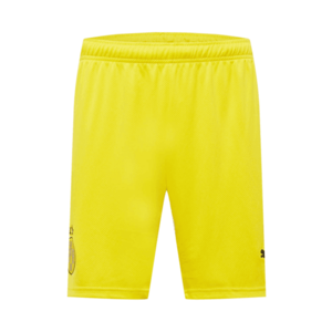PUMA Športové nohavice 'BVB' žltá / neónovo žltá / čierna vyobraziť