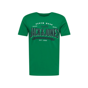 JACK & JONES Tričko trávovo zelená / tmavomodrá / biela vyobraziť