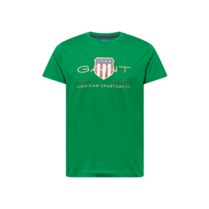 GANT Tričko zelená / zmiešané farby vyobraziť