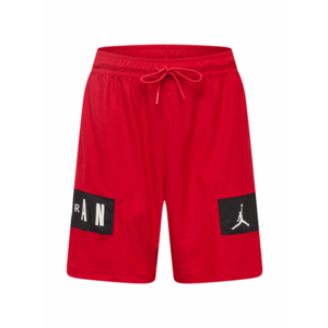 Jordan Športové nohavice červená / čierna / biela vyobraziť