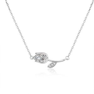 Beneto Romantický strieborný náhrdelník s čírymi zirkónmi AGS486 / 47L vyobraziť