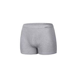 Pánske boxerky 223 Authentic mini grey vyobraziť