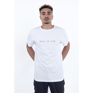 CAYLER SONS Pánske tričko C&S WL Ball Is Life Tee Farba: white/mc, Veľkosť: M vyobraziť