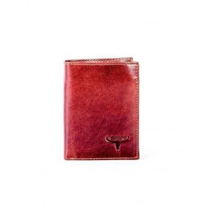 Hnedá pánska peňaženka s reliéfom vyobraziť