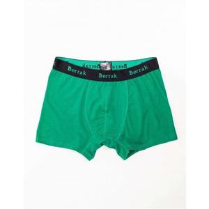 Zelené pánske boxerky vyobraziť