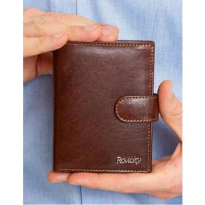 Hnedá pánska kožená peňaženka vyobraziť