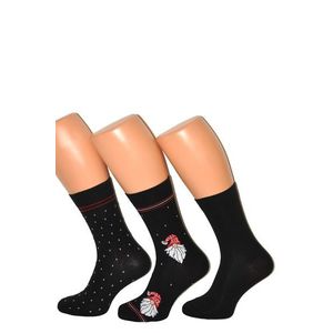 Pánské ponožky Cornette A47 Premium - 3 páry Čierna 45-47 vyobraziť