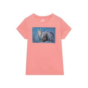 PEPPERTS® Dievčenské bavlnené tričko (134/140, oranžová) vyobraziť