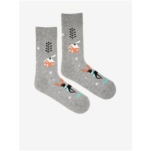 Ponožky pre ženy Fusakle - sivá vyobraziť