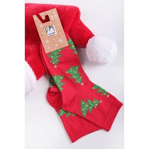 Červené vianočné ponožky 849 vyobraziť