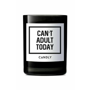 Candly - Voňavá sójová sviečka Can't adult today 250 g vyobraziť