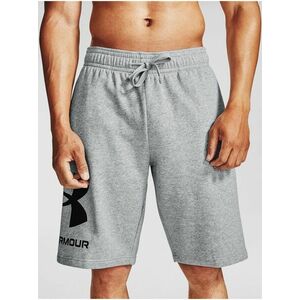 Kraťasy Under Armour UA Rival FLC Big Logo Shorts-GRY vyobraziť