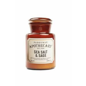 Paddywax Voňavá sójová sviečka Sea Salt and Sage 516 g vyobraziť