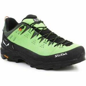 Turistická obuv Salewa Alp Trainer 2 Gore-Tex® Men's Shoe 61400-5660 vyobraziť