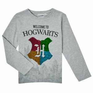 Tričká s dlhým rukávom TEAM HEROES T-SHIRT HARRY POTTER vyobraziť