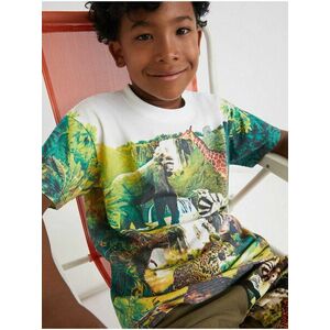 Bielo-zelené chlapčenské vzorované tričko Desigual Fresa vyobraziť