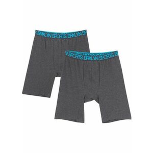 Chlapčenské boxerské šortky s dlhými nohavicami (2 ks) vyobraziť