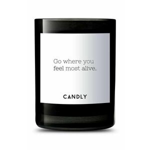 Candly Voňavá sójová sviečka Go where you feel most alive. 250 g vyobraziť