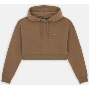 Mikiny Dickies OAKPORT CROPPED HOODIE vyobraziť