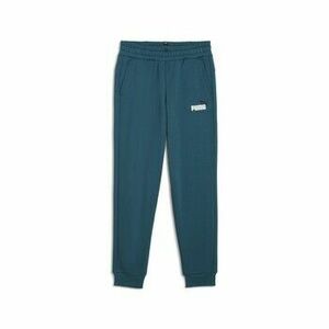 Tepláky/Vrchné oblečenie Puma ESS+ 2 COL LOGO PANTS FL CL vyobraziť