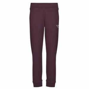 Tepláky/Vrchné oblečenie Puma BETTER ESSENTIALS PANTS CL FL vyobraziť