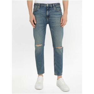 Modré pánske straight fit džínsy Calvin Klein Jeans Dad Jean vyobraziť