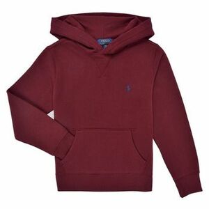 Mikiny Polo Ralph Lauren LS PO HOOD-TOPS-KNIT vyobraziť