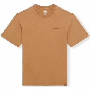 Tričká a polokošele Dickies Plentywood T-Shirt - Brown vyobraziť