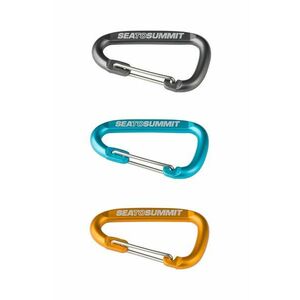 Karabínky Sea To Summit Accessory Carabiner Small 3-pak AABINER3 vyobraziť