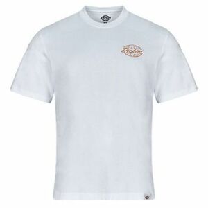 Tričká s krátkym rukávom Dickies DICKIES GLOBE TEE SS vyobraziť