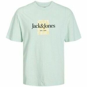 Tričká s krátkym rukávom Jack & Jones 12250436 JORLAFAYETTE vyobraziť