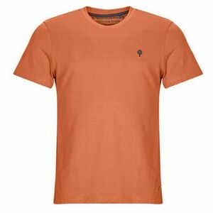 Tričká s krátkym rukávom Faguo PAP ARCY T-SHIRT COTTON vyobraziť