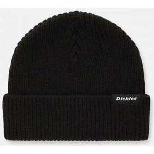 Čiapky Dickies Woodworth beanie vyobraziť