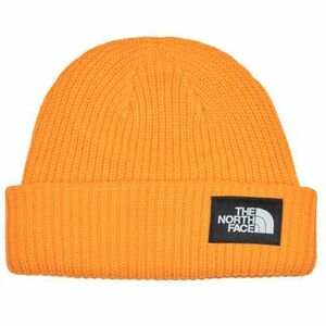 Čiapky The North Face SALTY LINED BEANIE vyobraziť