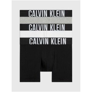 Boxerky pre mužov Calvin Klein vyobraziť