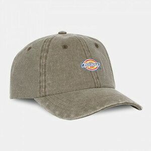 Šiltovky Dickies Hardwick duck canvas cap vyobraziť