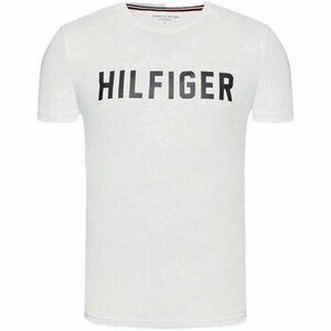 Tričká s krátkym rukávom Tommy Hilfiger UM0UM02011YBR vyobraziť