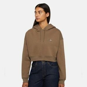 Mikiny Dickies OAKPORT CROPPED HOODIE vyobraziť