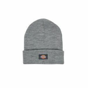 Čiapky Dickies GIBSLAND BEANIE vyobraziť